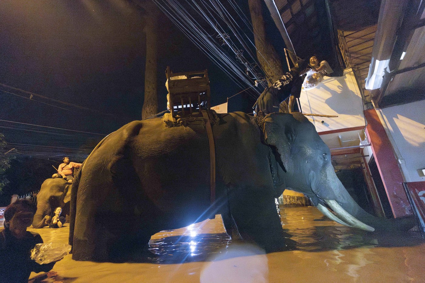 Central Thailand braces for inundation as rain stops in flooded Chiang Mai | iNFOnews.ca Central Thailand braces for inundation as rain stops in flooded Chiang Mai | iNFOnews.ca