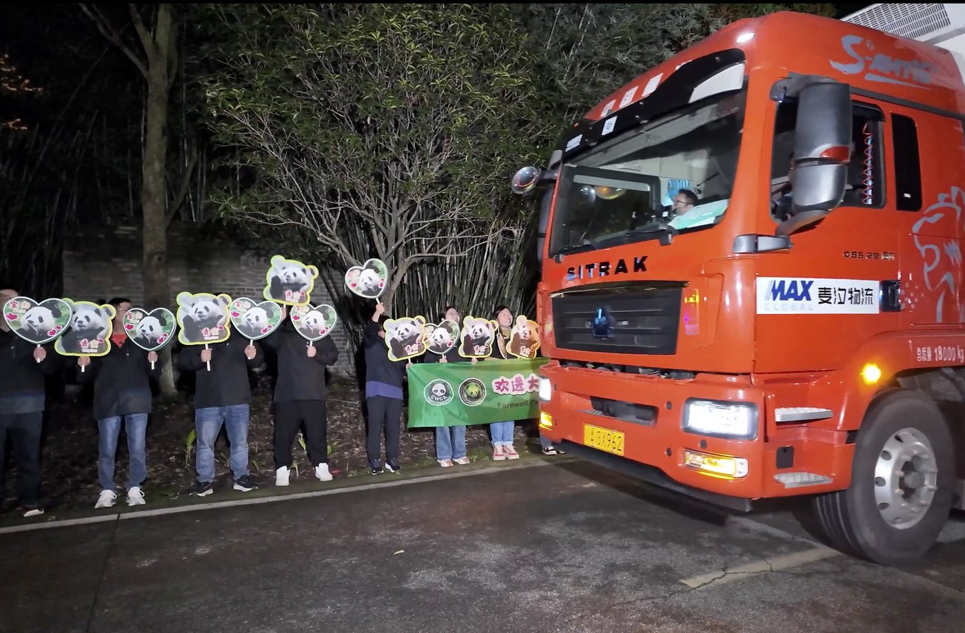 Pandas arrive at National Zoo, but won't be ready for public debut until January | iNFOnews.ca Pandas arrive at National Zoo, but won't be ready for public debut until January | iNFOnews.ca