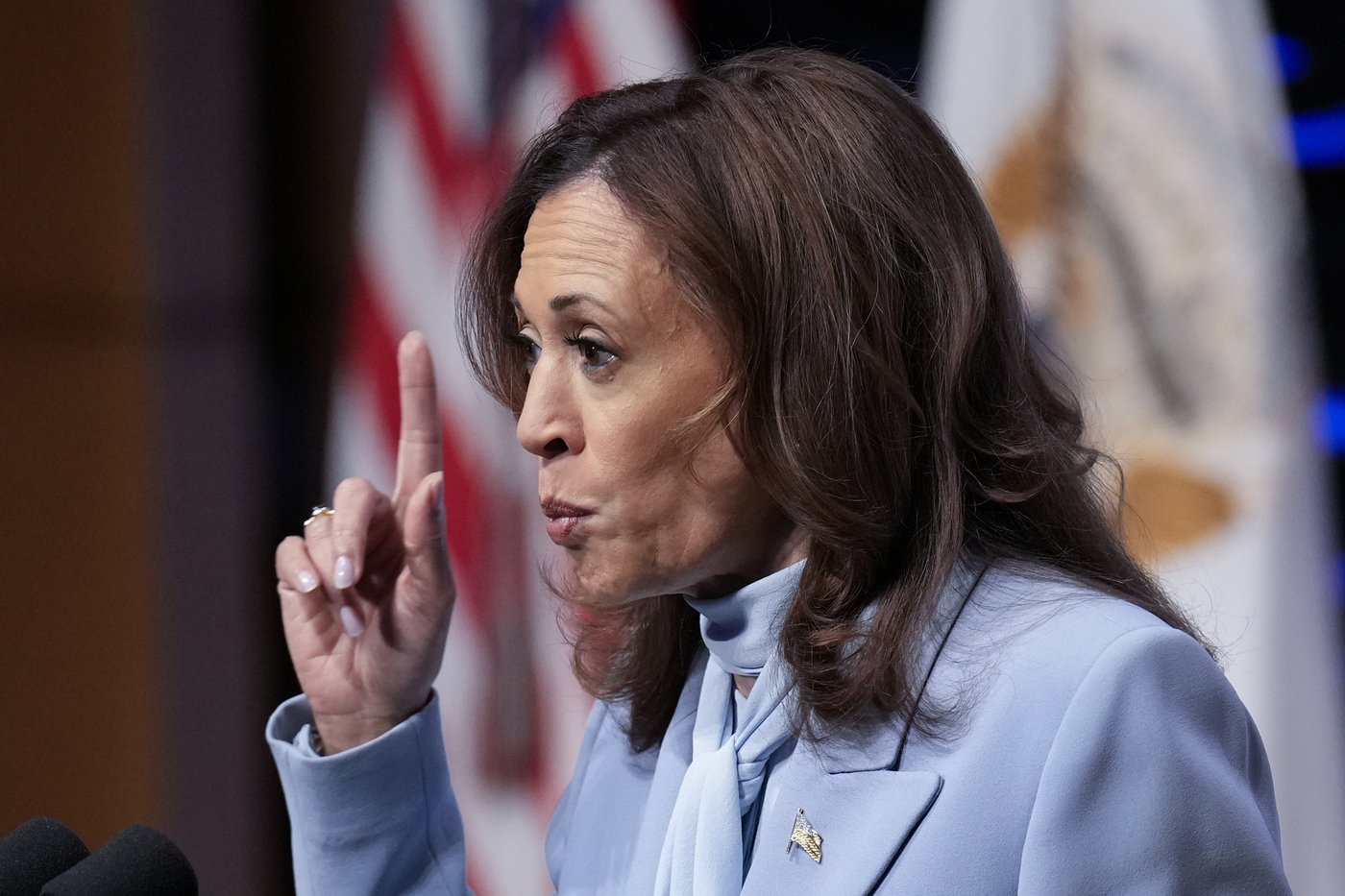 Harris hits Trump's promise of mass deportations as Trump rallies on Long Island | iNFOnews.ca