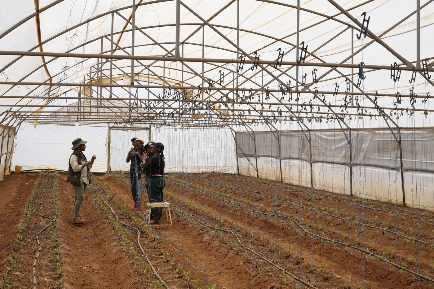 A farming project in South Africa is helping deaf people build skills and find jobs | iNFOnews.ca A farming project in South Africa is helping deaf people build skills and find jobs | iNFOnews.ca
