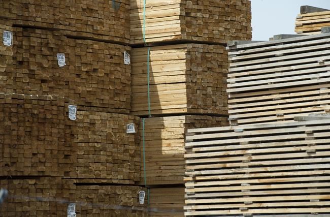 Lumber, panel prices expected to remain elevated despite recent declines | iNFOnews.ca