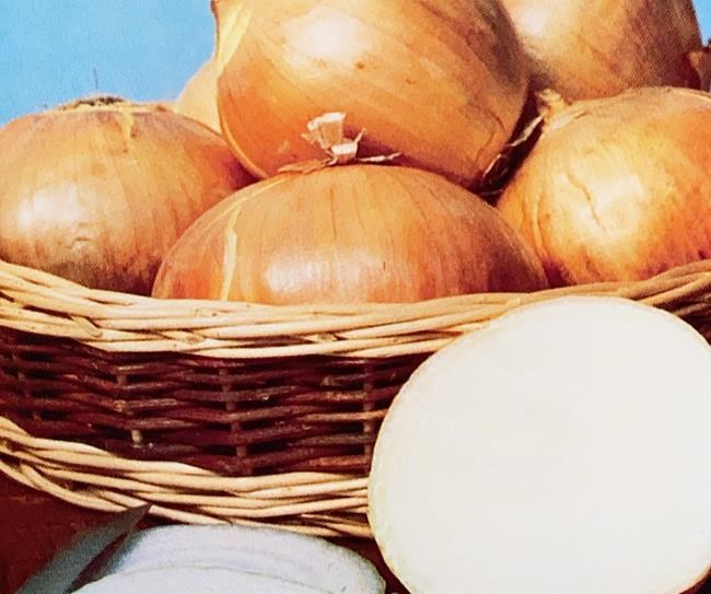 Sexualized onions: Facebook lifts ban on Newfoundland advertisement for seeds | iNFOnews.ca CP1139132024