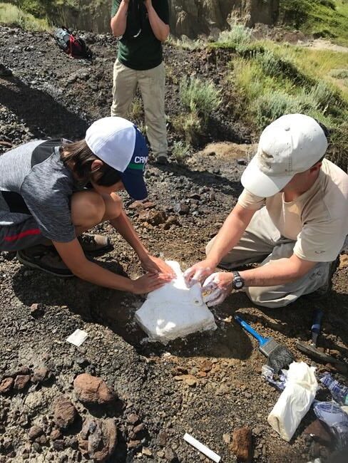 'Discovery by little Nathan:' 12-year-old makes fossil find in southern Alberta | iNFOnews.ca