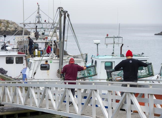 Federal representative hopes to ease tensions in Nova Scotia lobster dispute | iNFOnews.ca Federal representative hopes to ease tensions in Nova Scotia lobster dispute | iNFOnews.ca