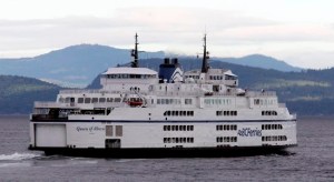 CP313201238