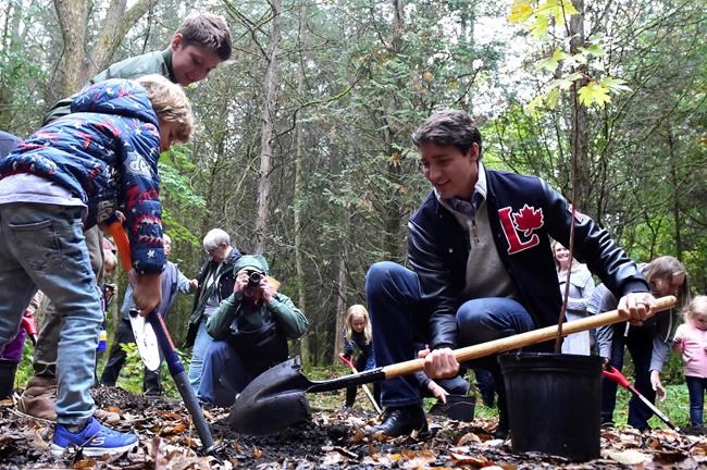 No budget yet for Liberals' promise to plant two billion trees by 2030 | iNFOnews.ca