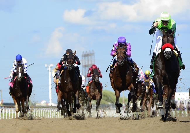 Premature ending to 2020 thoroughbred racing season costly to Woodbine Entertainment | iNFOnews.ca Premature ending to 2020 thoroughbred racing season costly to Woodbine Entertainment | iNFOnews.ca