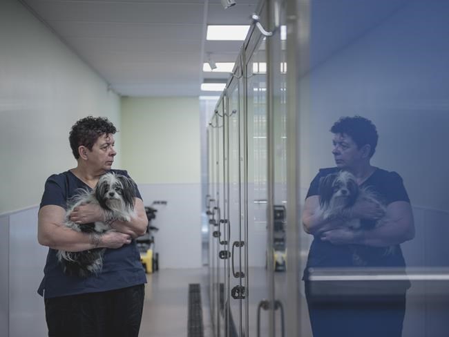 'Murmur' wins top prize at Screen Nova Scotia awards | iNFOnews.ca 'Murmur' wins top prize at Screen Nova Scotia awards | iNFOnews.ca