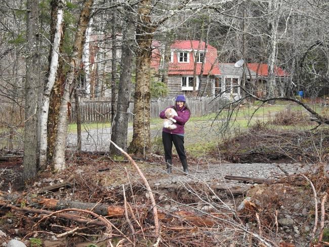 New Brunswick woman remains stranded a week after storm washed out bridge to home | iNFOnews.ca
