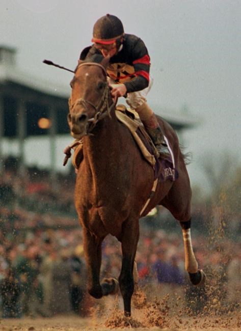 Breeders' Cup Classic, Queen's Plate champion Awesome Again dies at age 26 | iNFOnews.ca