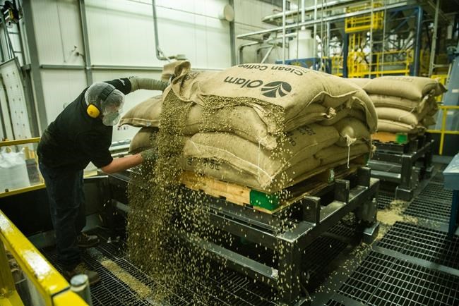 Tim Horton launches new dark roast as part of chain's plan to get back to basics | iNFOnews.ca Tim Horton launches new dark roast as part of chain's plan to get back to basics | iNFOnews.ca