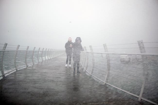 Conditions easing, ferry travel resumes after wind, rain batter B.C. coast | iNFOnews.ca