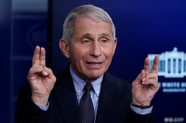 Single-shot vaccine's other advantages may soon outweigh lower efficacy, Fauci says | iNFOnews.ca Single-shot vaccine's other advantages may soon outweigh lower efficacy, Fauci says | iNFOnews.ca