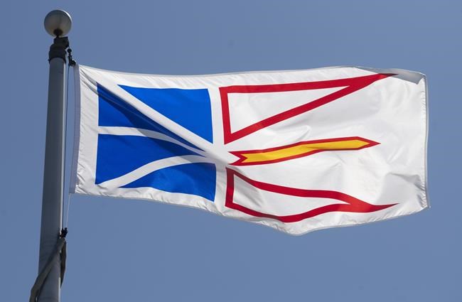 Newfoundland sees COVID-19 cases decline as variant threat simmers | iNFOnews.ca