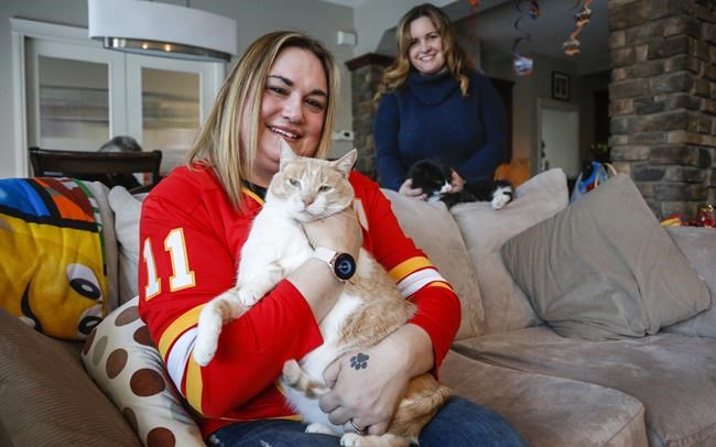 'Something much bigger:' Calgary pet charity hopes to expand to keep kids with pets | iNFOnews.ca 'Something much bigger:' Calgary pet charity hopes to expand to keep kids with pets | iNFOnews.ca