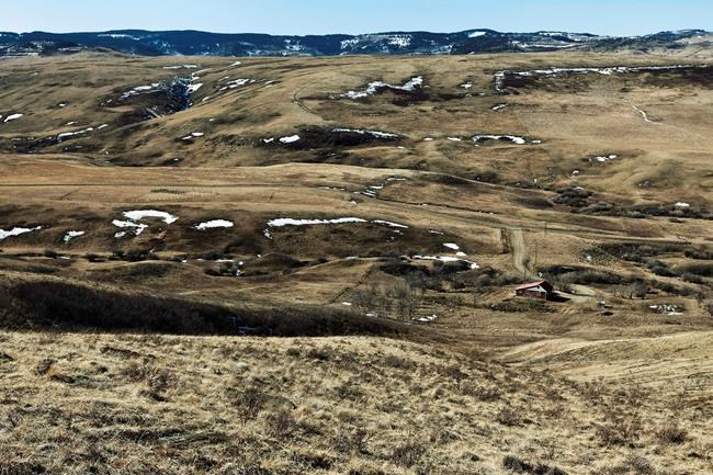 Coal exploration approvals already exceed legal road thresholds, data suggests | iNFOnews.ca