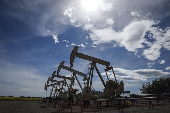 Oilpatch workforce faces more cuts this year before rebound in 2022-23, says PetroLMI | iNFOnews.ca