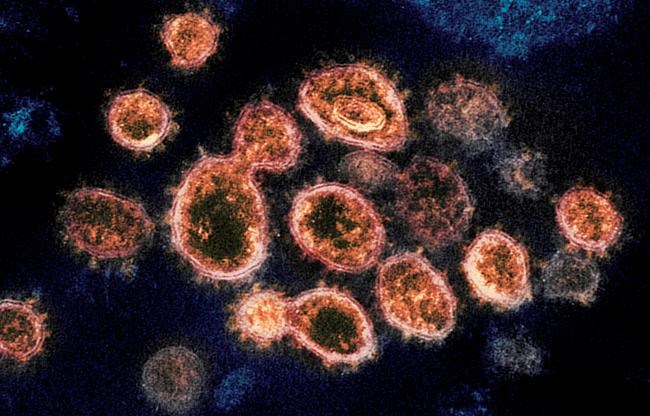 COVID-19 outbreak at Prince Rupert care home where 16 died earlier this year | iNFOnews.ca CP1941940592