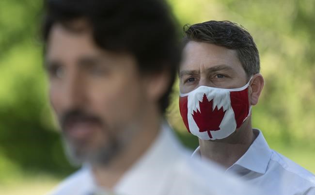 Liberal MP caught stark naked during House of Commons video conference | iNFOnews.ca CP636964733