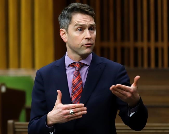 Canada's naked MP speaks out: leaked photo sends message 'anything goes' in politics | iNFOnews.ca Canada's naked MP speaks out: leaked photo sends message 'anything goes' in politics | iNFOnews.ca