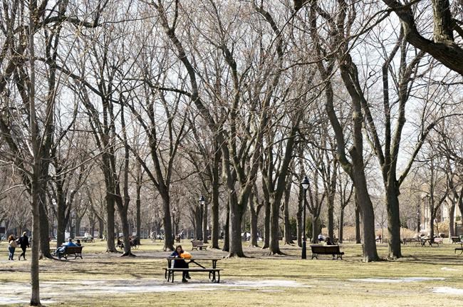 Montreal suburb's plan to charge for picnic table reservations draws backlash | iNFOnews.ca Montreal suburb's plan to charge for picnic table reservations draws backlash | iNFOnews.ca