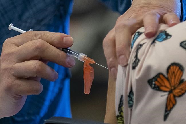 Who have provinces pegged to receive COVID-19 vaccines in the coming weeks? | iNFOnews.ca Who have provinces pegged to receive COVID-19 vaccines in the coming weeks? | iNFOnews.ca