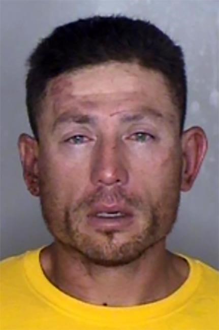 California tree trimmer charged in deadly throat-slashings | iNFOnews.ca California tree trimmer charged in deadly throat-slashings | iNFOnews.ca