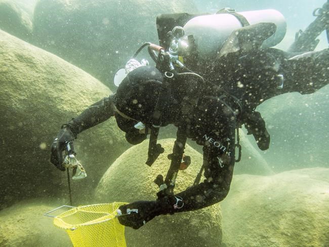 Scuba divers begin 6-month effort to rid Lake Tahoe of trash | iNFOnews.ca Scuba divers begin 6-month effort to rid Lake Tahoe of trash | iNFOnews.ca