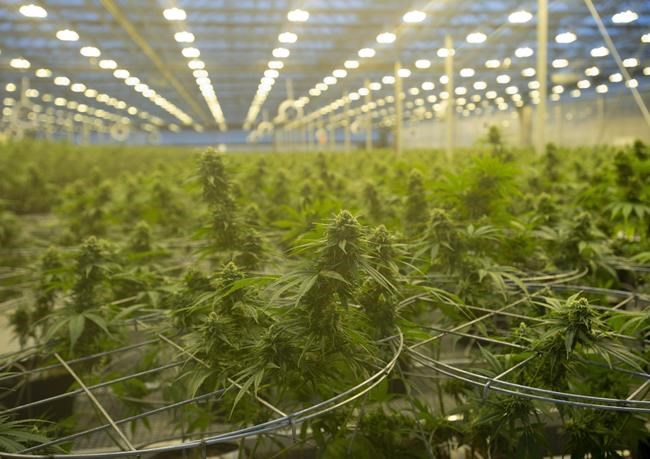 Hexo to buy 48North in deal valued at $50 million | iNFOnews.ca Hexo to buy 48North in deal valued at $50 million | iNFOnews.ca