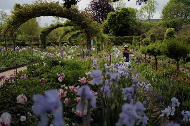 Monet's gardens reopening, a picture-perfect pandemic tonic | iNFOnews.ca