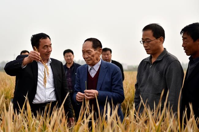 China's Yuan Longping dies; rice research helped feed world | iNFOnews.ca