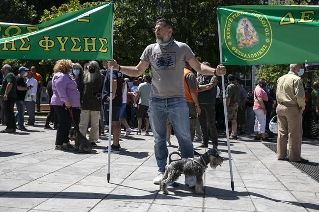 Greek dog owners protest mandatory sterilization of pets | iNFOnews.ca Greek dog owners protest mandatory sterilization of pets | iNFOnews.ca