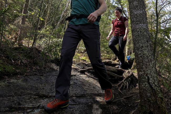 Party of 4? Your trail is ready. Busy parks try reservations | iNFOnews.ca