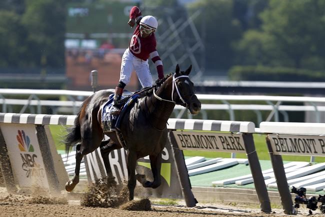 The Latest: Essential Quality rallies to win Belmont Stakes | iNFOnews.ca