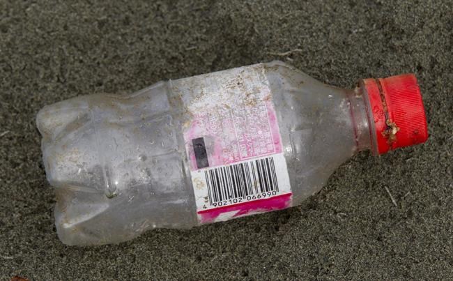 Shoreline cleanup finds COVID-related trash increased during height of the pandemic | iNFOnews.ca CP28758246