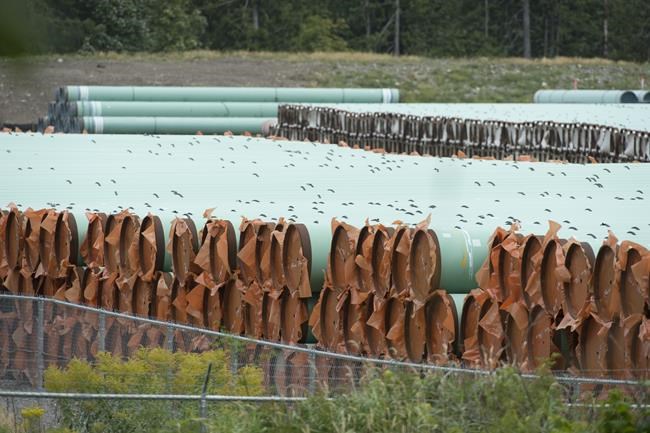 Trans Mountain tree cutting can resume as stop-work order on pipeline route lifts | iNFOnews.ca