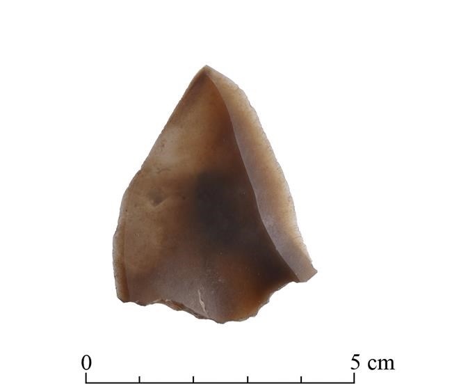 120,000-year-old fossils in Israel link to human family tree | iNFOnews.ca