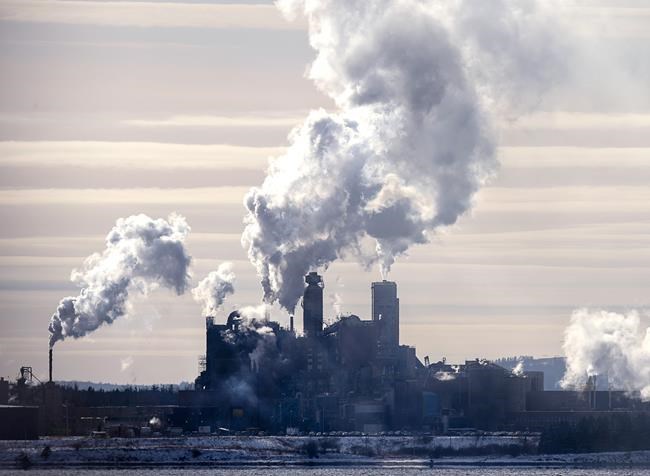'Complete transformation' of idled N.S. mill panned by critics | iNFOnews.ca