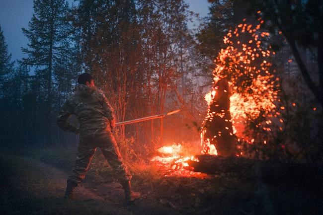 Volunteers pitch in to fight Russia's raging forest fires | iNFOnews.ca