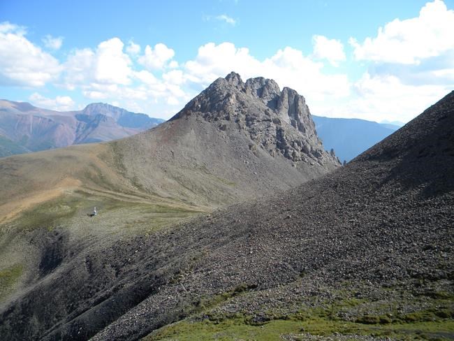 First sign of animal life on Earth may be a sponge fossil | iNFOnews.ca First sign of animal life on Earth may be a sponge fossil | iNFOnews.ca