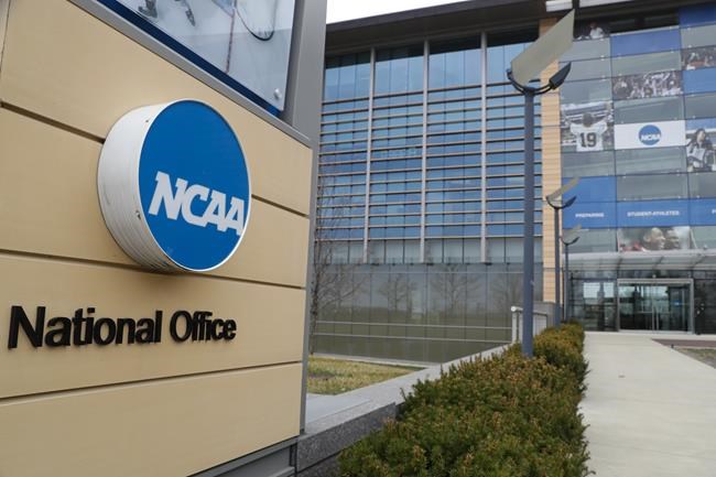 Report drills NCAA on equity, calls for combined Final Four | iNFOnews.ca Report drills NCAA on equity, calls for combined Final Four | iNFOnews.ca