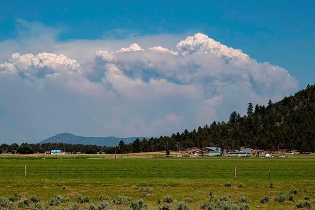 Canada, U.S. seek new approach as blistering 2021 wildfire season drains resources | iNFOnews.ca Canada, U.S. seek new approach as blistering 2021 wildfire season drains resources | iNFOnews.ca