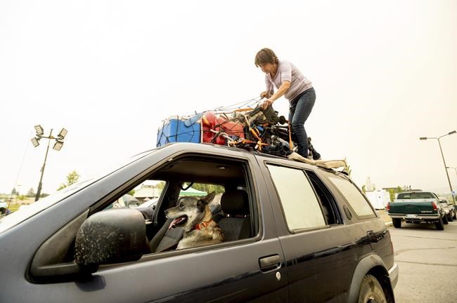 'Nothing's safe' as wildfire tears through California town | iNFOnews.ca