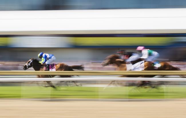Chiefswood GM Landry says that Weyburn won't be running in $1-million Queen's Plate | iNFOnews.ca Chiefswood GM Landry says that Weyburn won't be running in $1-million Queen's Plate | iNFOnews.ca