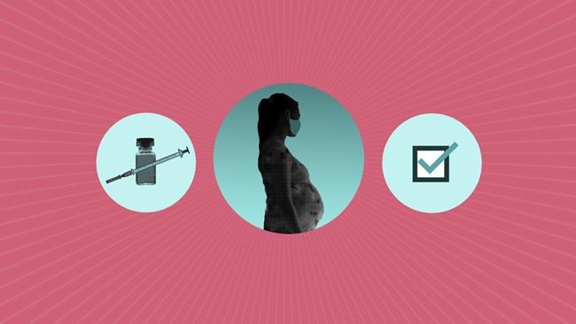 Do the COVID-19 vaccines affect my chances of pregnancy? | iNFOnews.ca