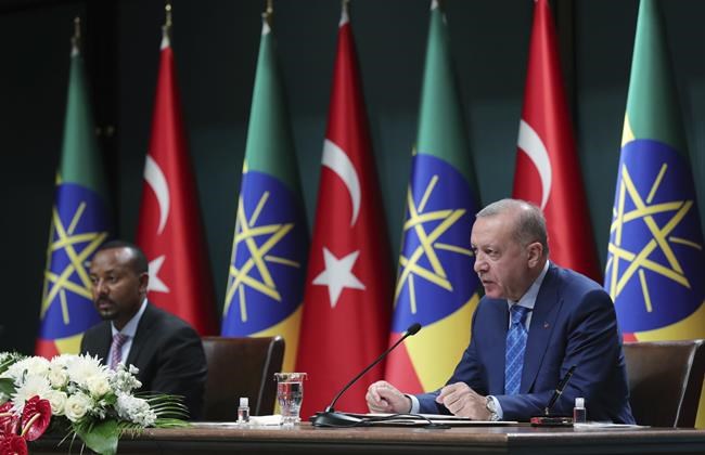 Turkey offers to mediate between Ethiopia and Sudan | iNFOnews.ca