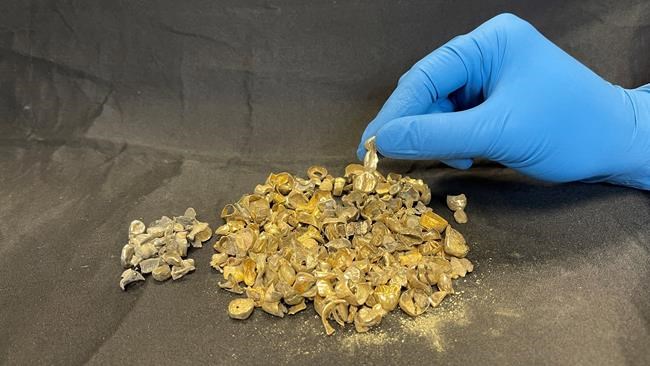 Vancouver police search for owners of $12,000 worth of dental gold | iNFOnews.ca Vancouver police search for owners of $12,000 worth of dental gold | iNFOnews.ca