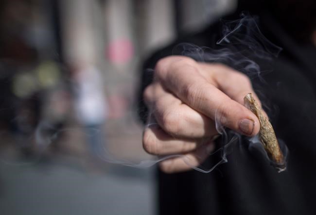 Study finds cannabis use associated with higher risk of heart attack in young adults | iNFOnews.ca Study finds cannabis use associated with higher risk of heart attack in young adults | iNFOnews.ca