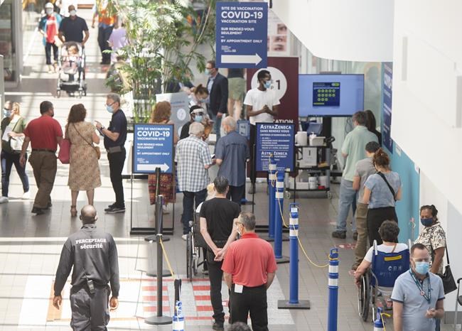 "Waning immunity?" Experts say term leads to false understanding of COVID-19 vaccines | iNFOnews.ca "Waning immunity?" Experts say term leads to false understanding of COVID-19 vaccines | iNFOnews.ca