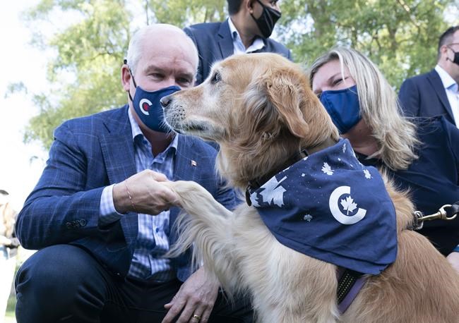 COVID-19 pandemic looms over final stretch of federal election campaign | iNFOnews.ca CP680947813